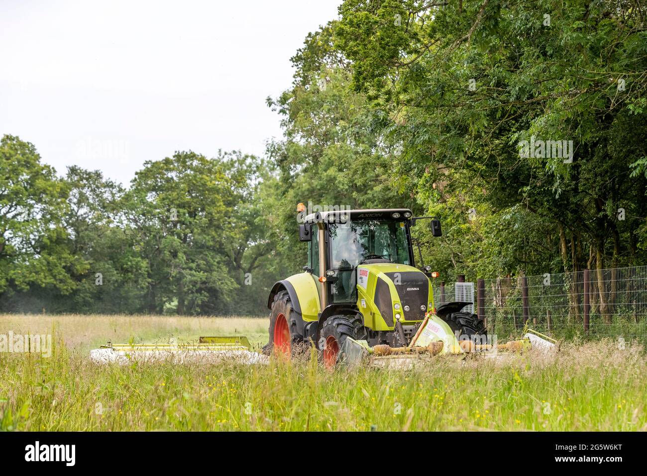 Coupe d'herbe d'été, Forêt de Dean. TRACTEUR et découpeuses CLAAS 820 Axion. Banque D'Images