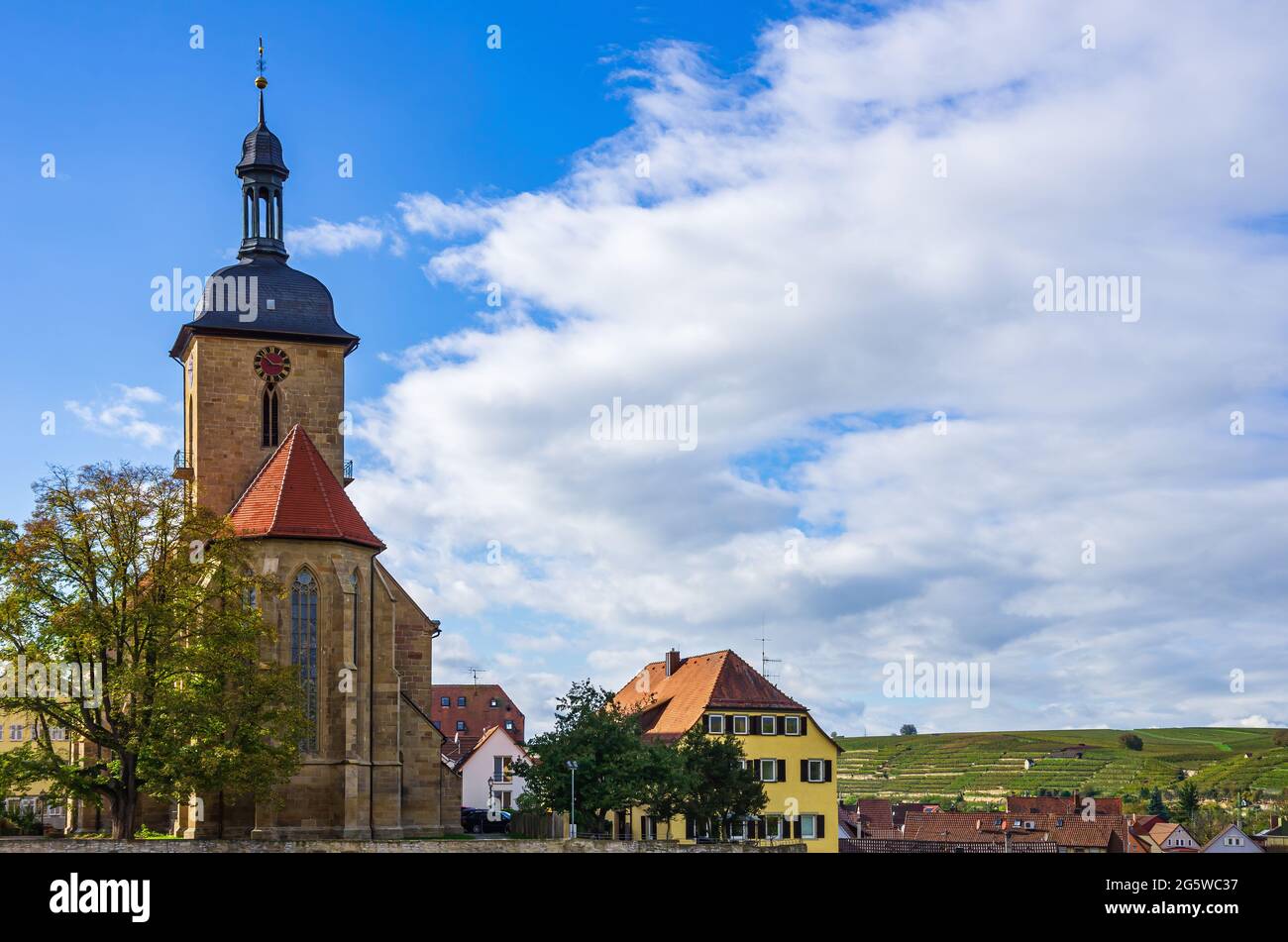 Lauffen am Neckar, Bade-Wurtemberg, Allemagne: Vue de l'église Regiswindis vue de Grafenburg (château du Comte), aujourd'hui hôtel de ville. Banque D'Images