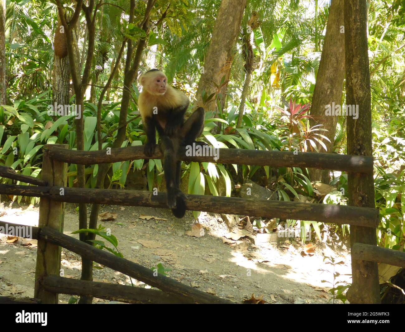 Montezuma, Costa Rica Banque D'Images