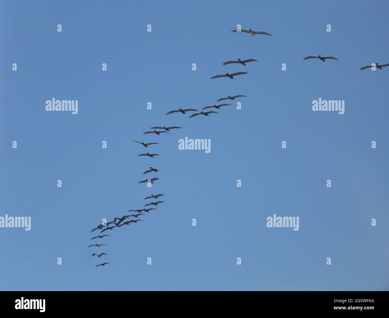 Montezuma. Costa Rica Banque D'Images