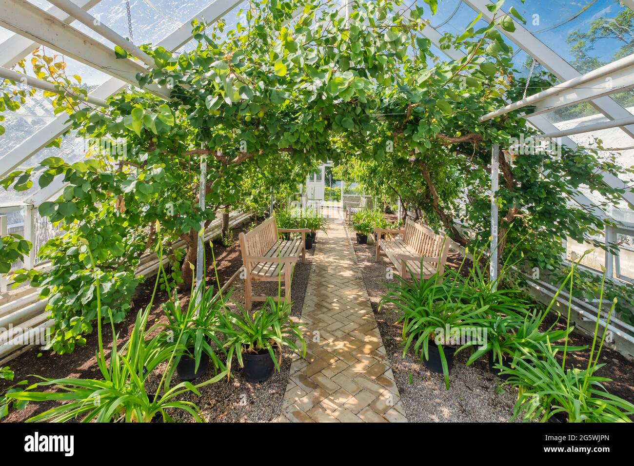 Jardin potager au château royal des reines danoises à Graasten, Danemark Banque D'Images