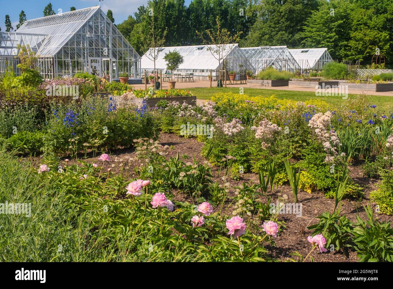 Jardin potager au château royal des reines danoises à Graasten, Danemark Banque D'Images