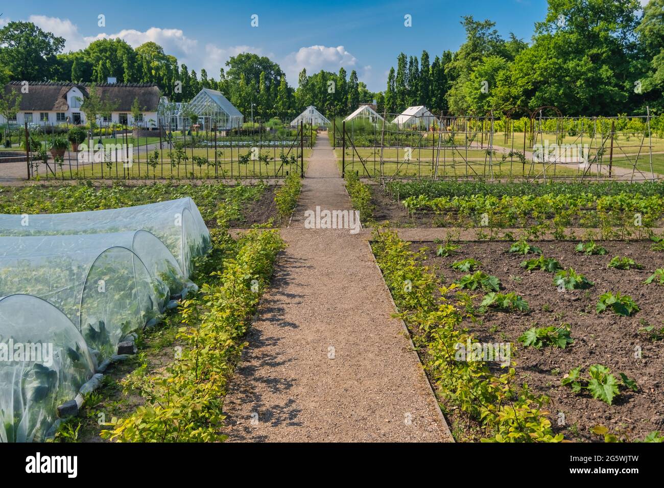 Jardin potager au château royal des reines danoises à Graasten, Danemark Banque D'Images