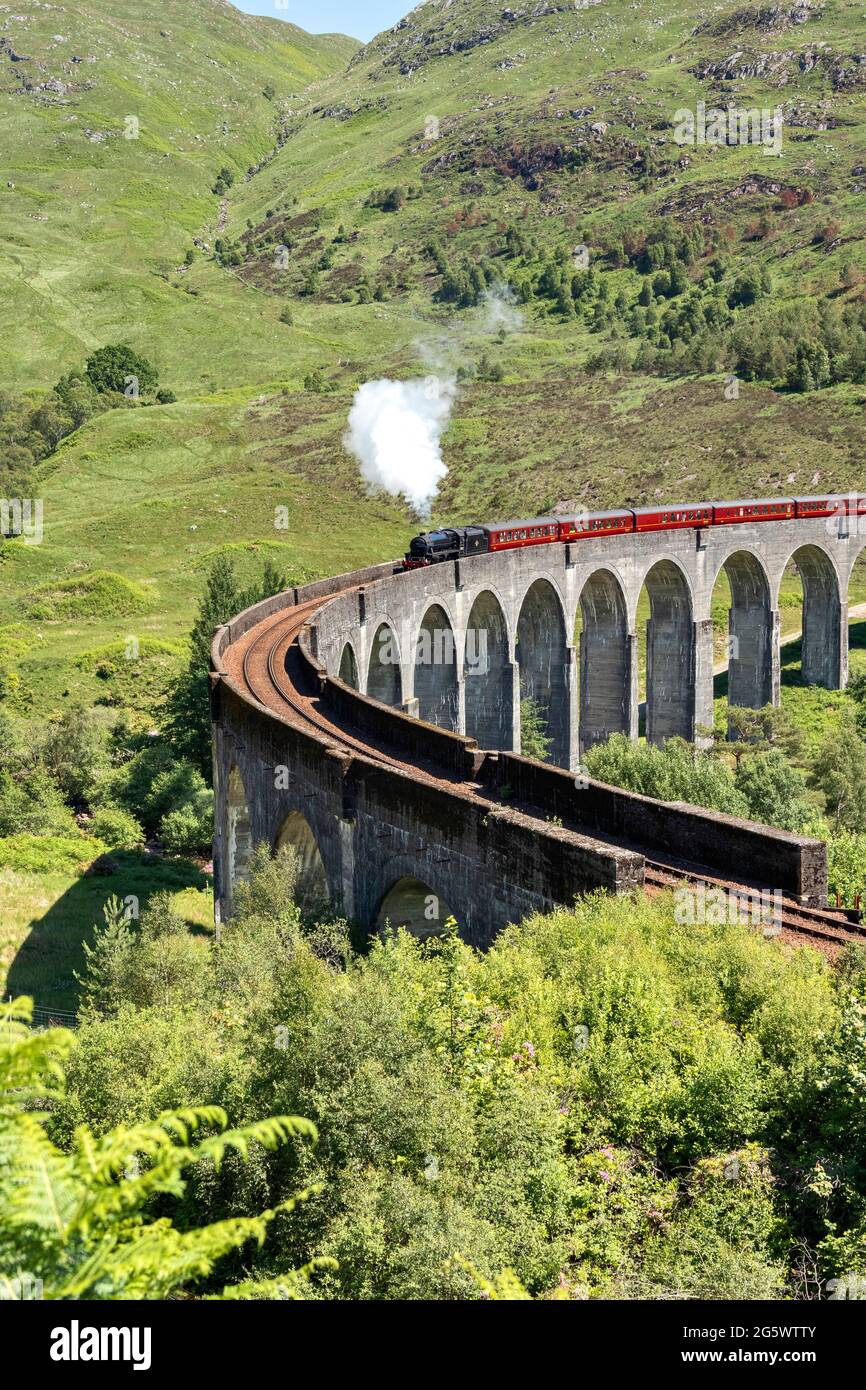 TRAIN À VAPEUR JACOBITE GLENFINNAN VIADUCT SCOTLAND LE TRAIN 45212 SOUS LE SOLEIL DU DÉBUT DE L'ÉTÉ Banque D'Images