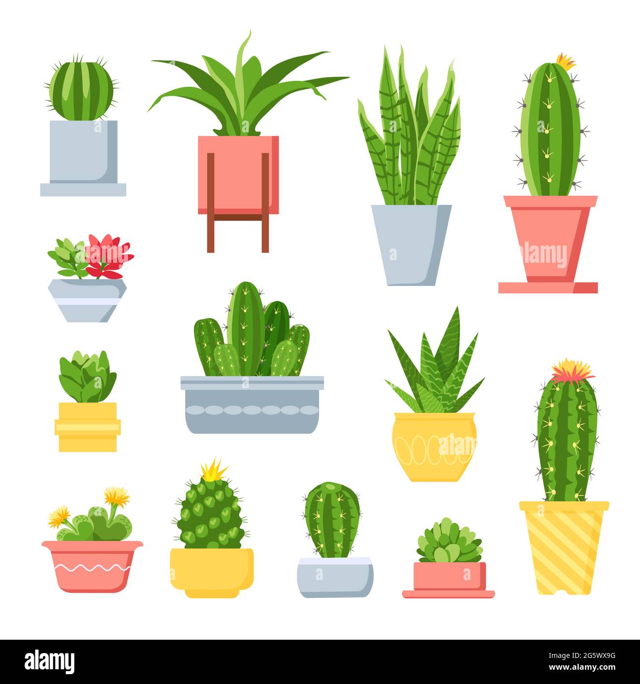 Cactus et succulents. Cactus de dessins animés dans des pots. Plante maison exotique mexicaine avec des épines et des fleurs. Ensemble de jardiniers décoratifs à motifs vectoriels succulents Illustration de Vecteur Cactus et succulents. Cactus de dessins animés dans des pots. Plante maison exotique mexicaine avec des épines et des fleurs. Ensemble de jardiniers décoratifs à motifs vectoriels succulents Illustration de Vecteur