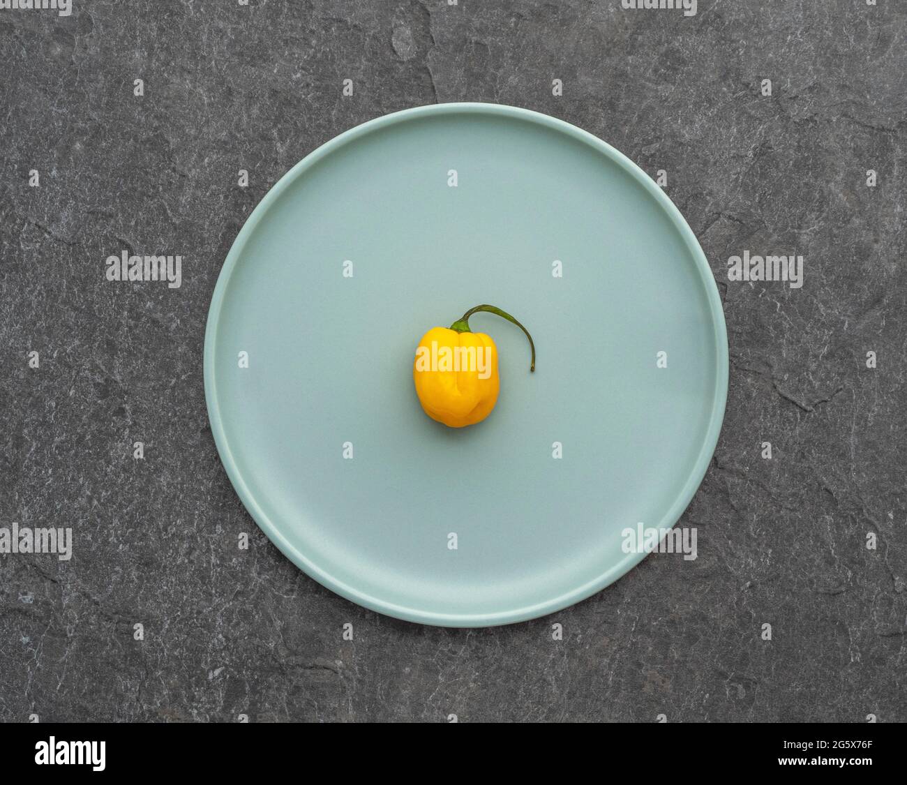 Plan de vue d'un piment jaune Scotch Bonnet sur une assiette bleu d'oeuf de canard. Banque D'Images