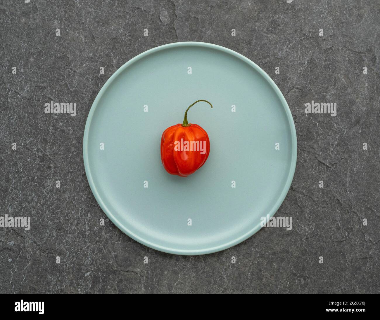 Plan de vue d'un Scotch Bonnet rouge piment poivre sur un oeuf de canard assiette bleue. Banque D'Images