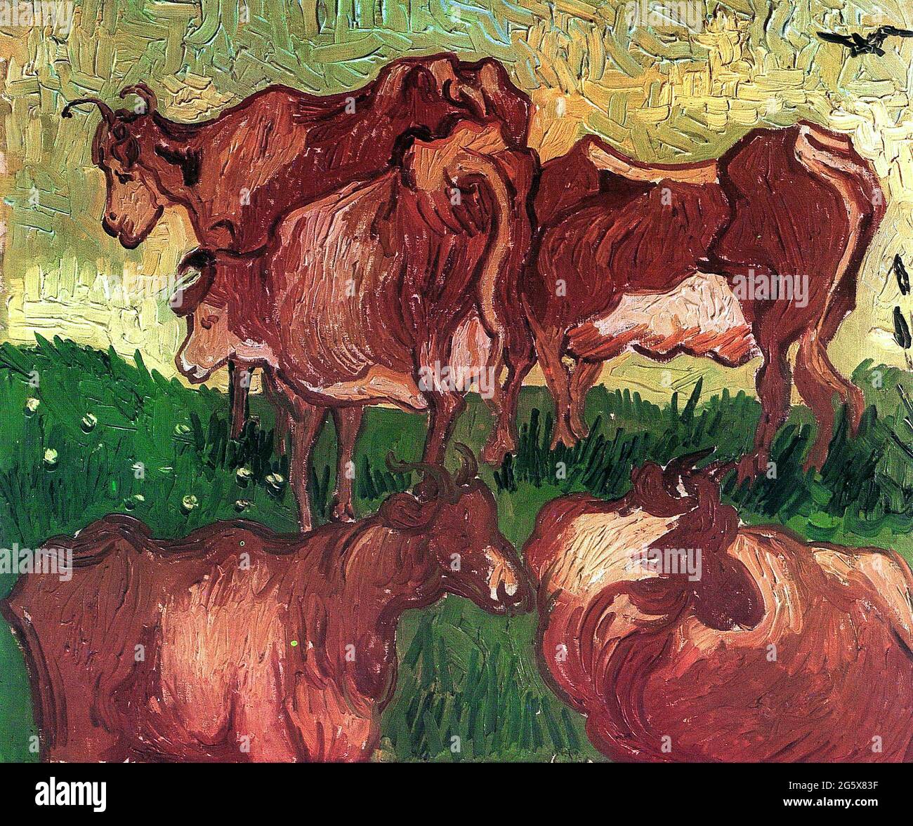 Vaches de Vincent Van Gogh 1890. Palais des Beaux-Arts de Lille en France Banque D'Images