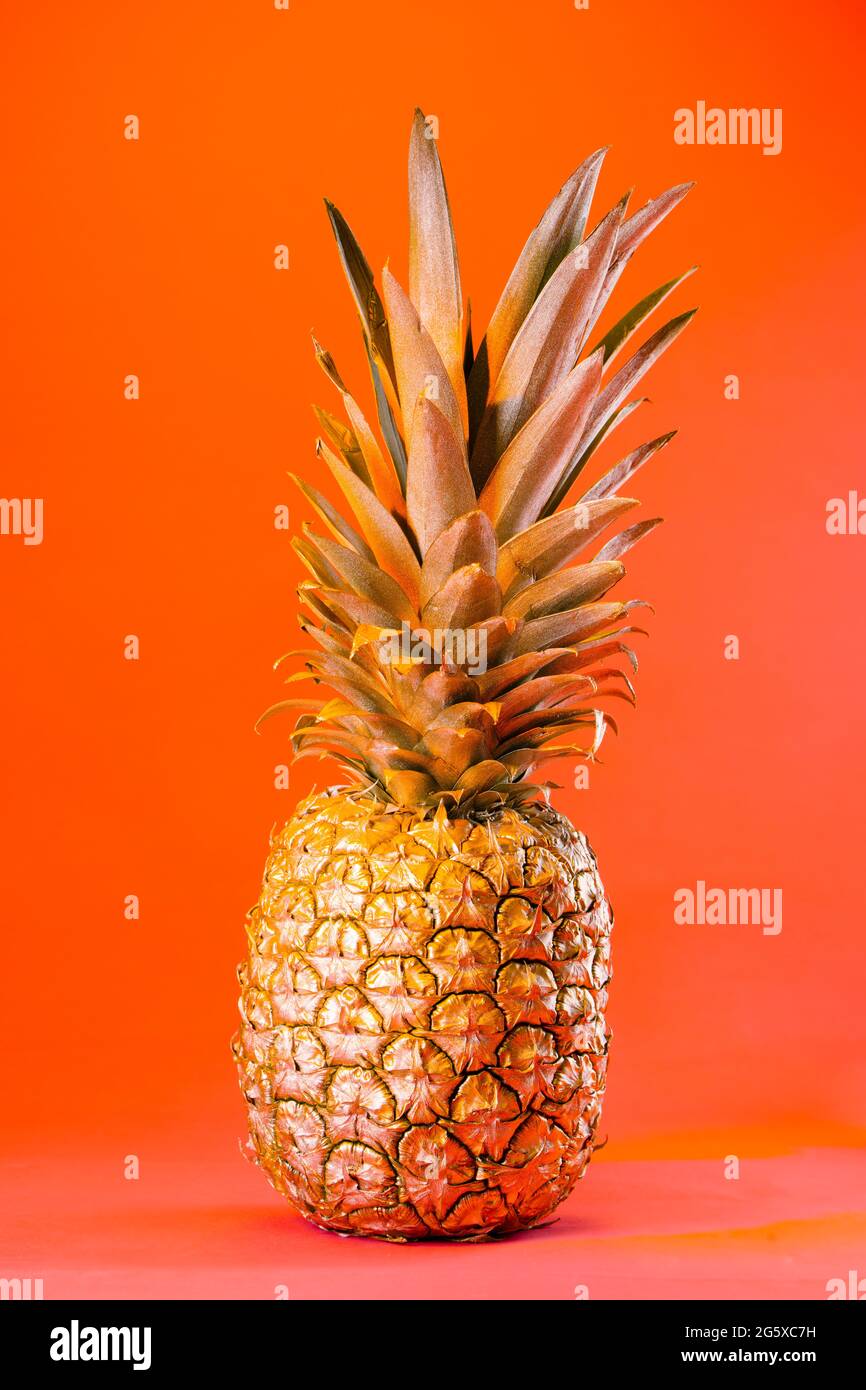 Arrière-plan tropical d'été. Ananas doré sur fond orange. Concept alimentaire. Minimale. Banque D'Images