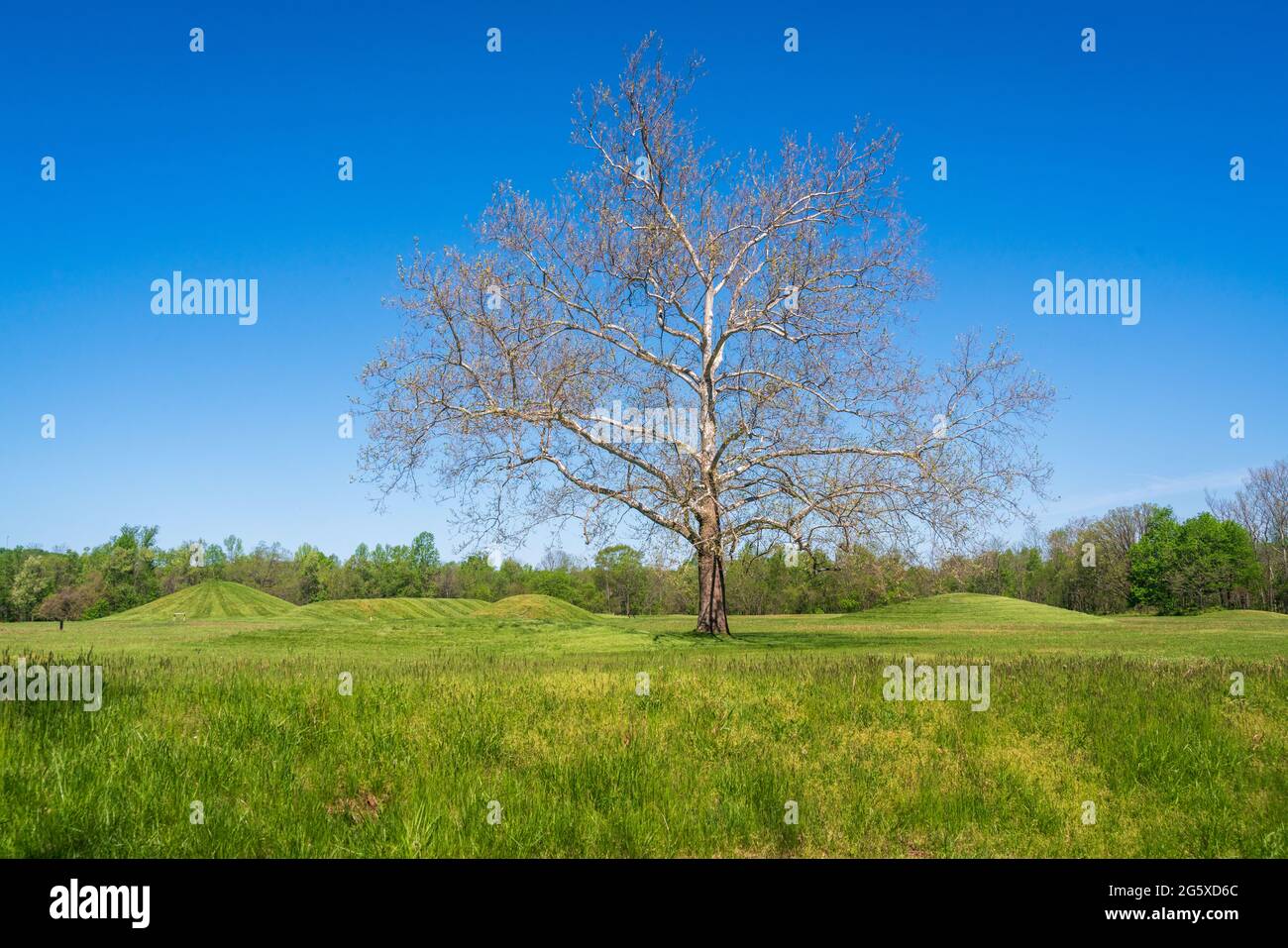 Parc historique national de la culture Hopewell Banque D'Images