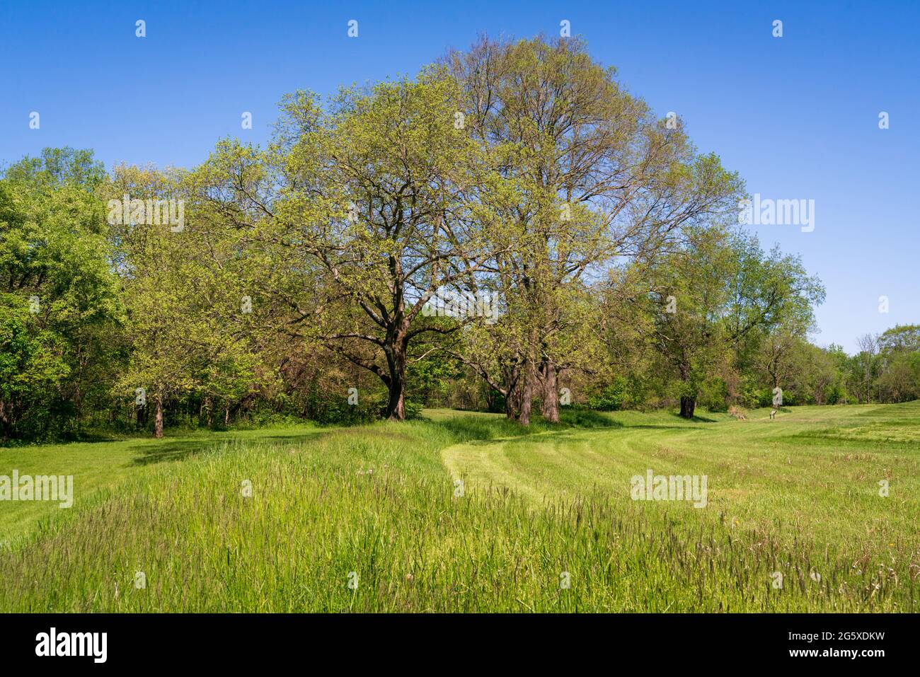 Parc historique national de la culture Hopewell Banque D'Images