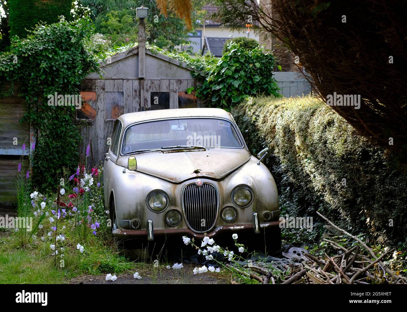 Silbey, Leicestershire, Royaume-Uni. 30 juin 2021. Une Jaguar 3.4 S-Type en rotation se trouve sur une allée. La berline Jaguar S-Type a été fabriquée par Jaguar Cars i. Banque D'Images