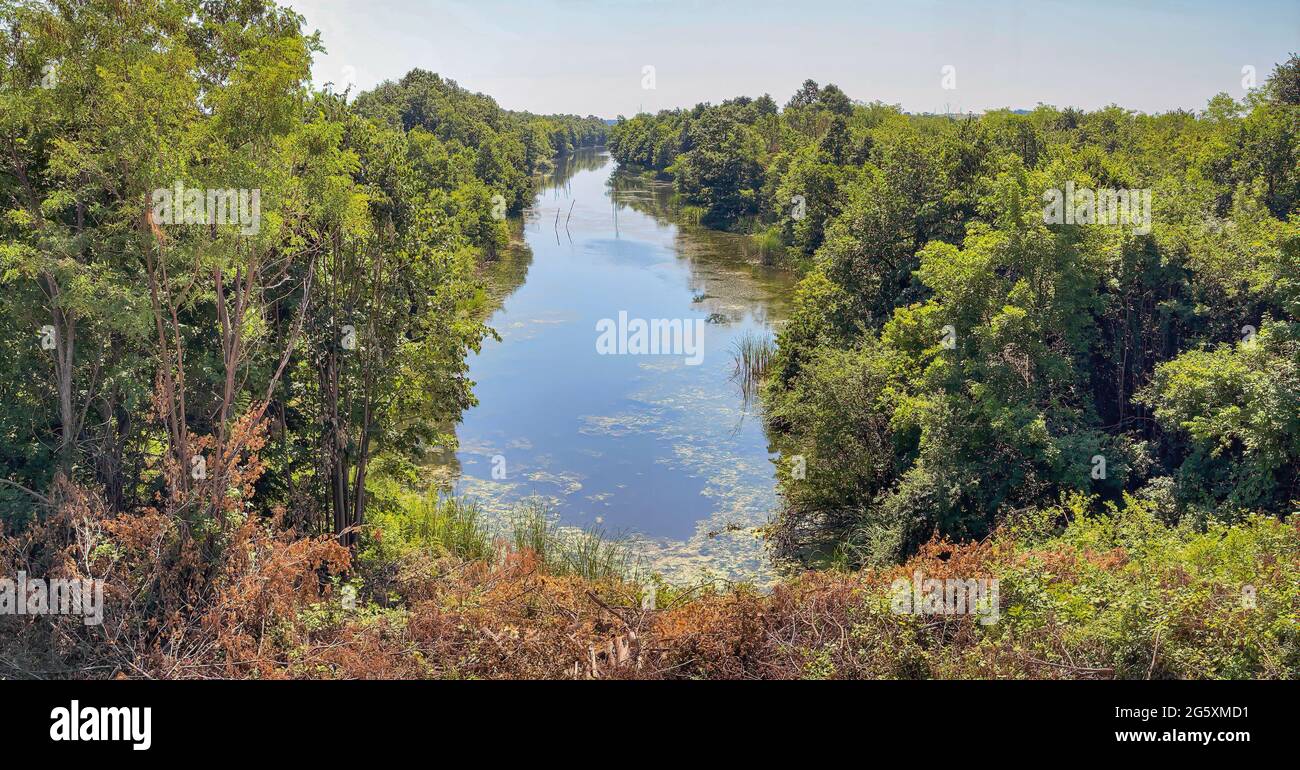 Une chaude journée d'été sur le lac de Sovinac Banque D'Images