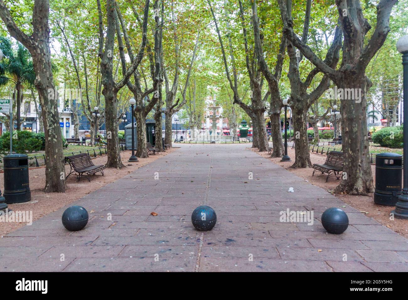 MONTEVIDEO, URUGUAY - 18 FÉVRIER 2015 : vue sur la place Plaza Matriz dans le centre de Montevideo. Banque D'Images