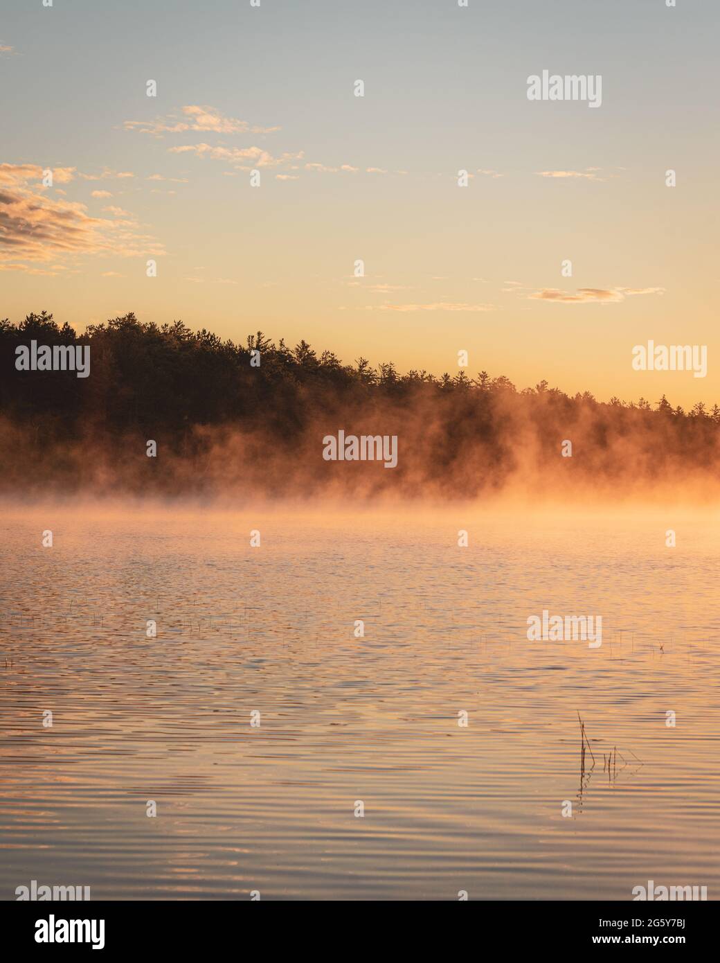 Brouillard sur un lac au lever du soleil, au parc national Baxter, Maine Banque D'Images