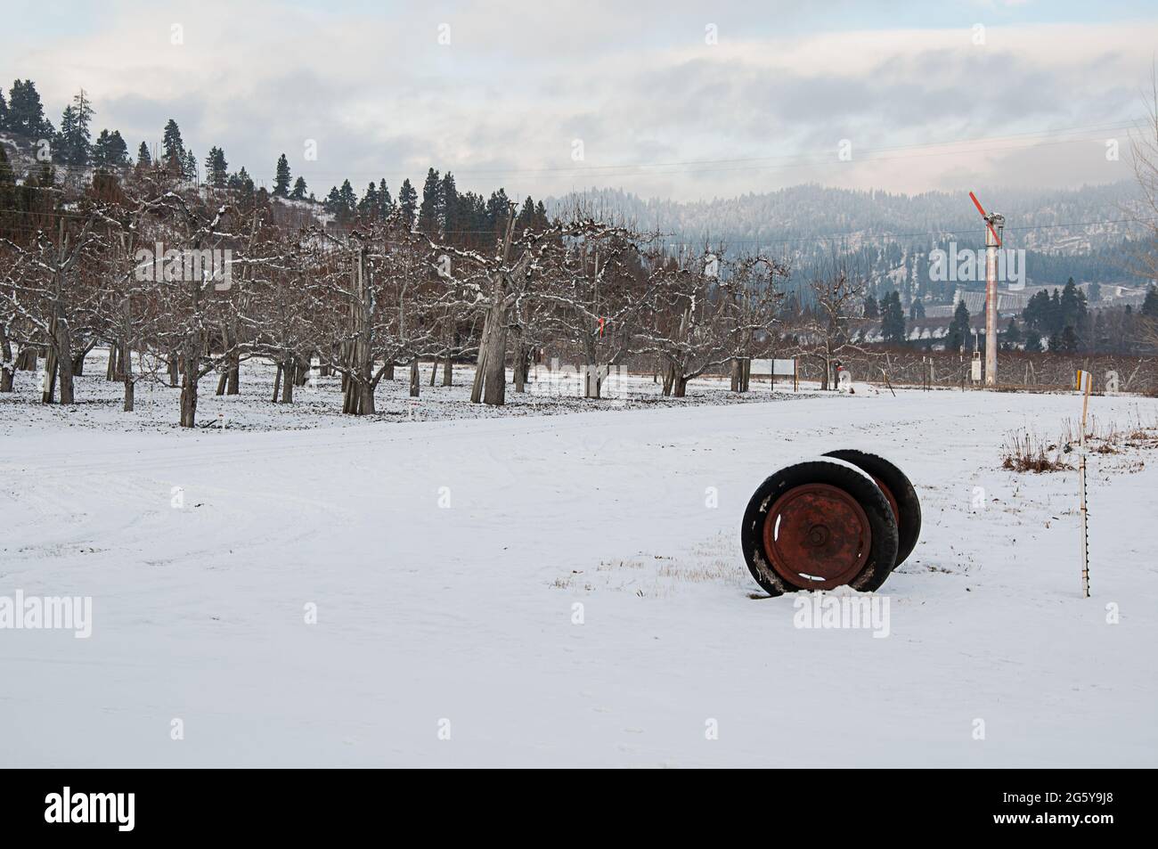 Paysage de verger de pomme d'hiver avec un générateur d'éolienne dans la scène et vieux pneus de ferme avec neige et montagnes en arrière-plan. Banque D'Images