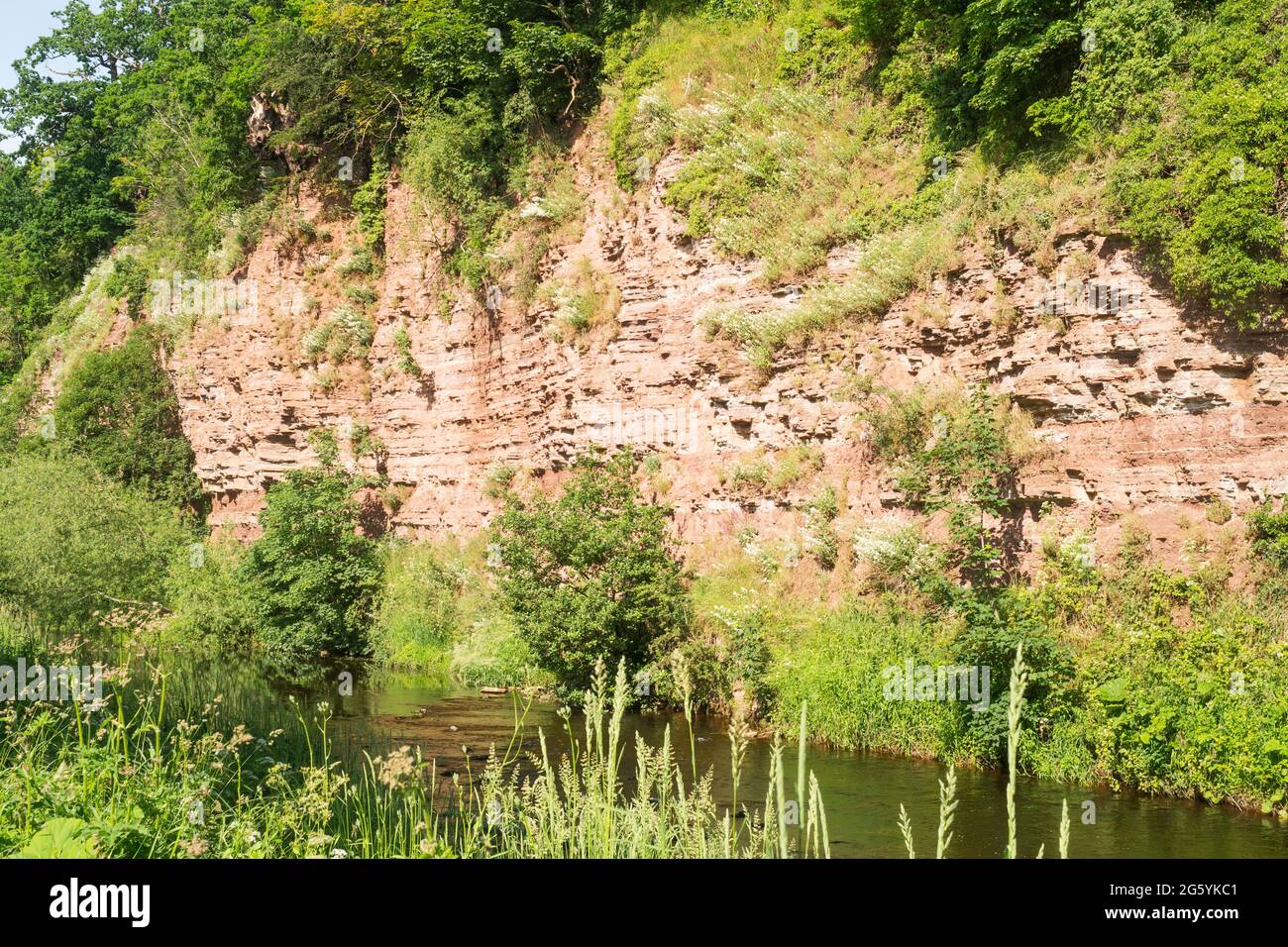 Affleurements de grès rouge au bord de la rivière Jed Water à Jedburgh, en Écosse, au Royaume-Uni Banque D'Images