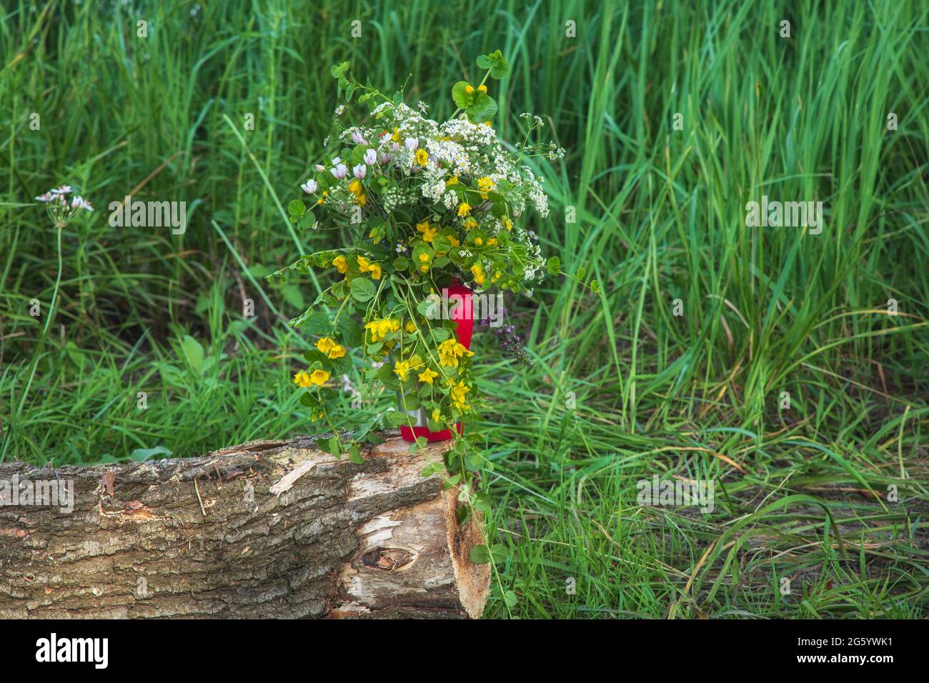 Le bouquet de fleurs sauvages sur la souche d'arbre Banque D'Images