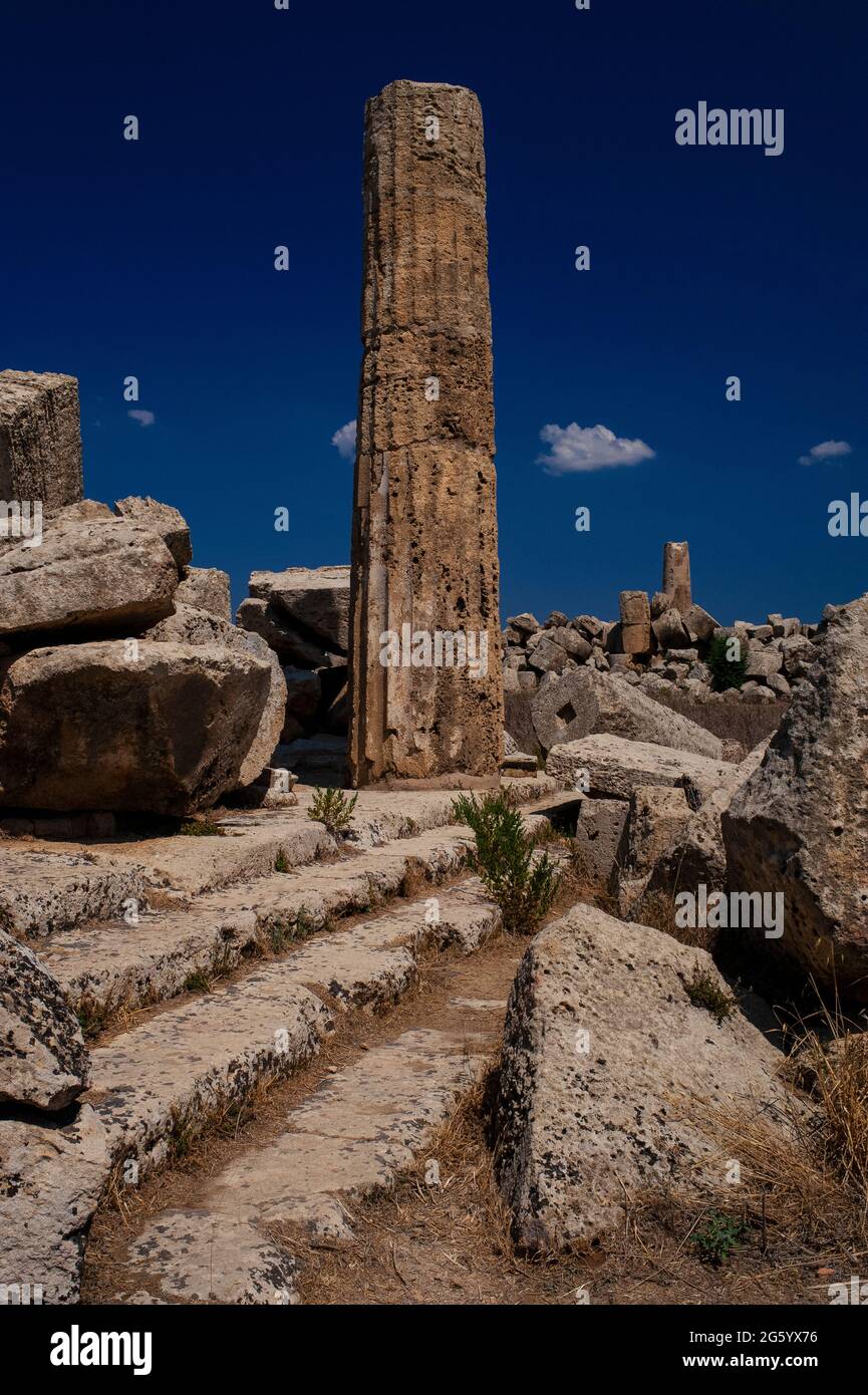 Une seule colonne tronquée s'élève vers un ciel bleu profond depuis les ruines jumplées d'un temple dorique effondré autrefois dédié soit à la déesse Athéna, soit au dieu Dionysos dans l'ancienne ville grecque et le port de Selinus ou Seliny sur la côte sud-ouest de la Sicile, en Italie. La structure, maintenant conservée comme Temple F dans le Parc archéologique de Selinunte, a été construite entre 550 et 540 avant JC et s'est probablement effondrée pendant les tremblements de terre à l'époque médiévale. Banque D'Images