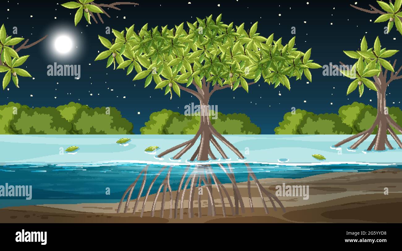 Paysage de la forêt de mangroves scène la nuit avec de nombreuses illustrations d'animaux différents Illustration de Vecteur