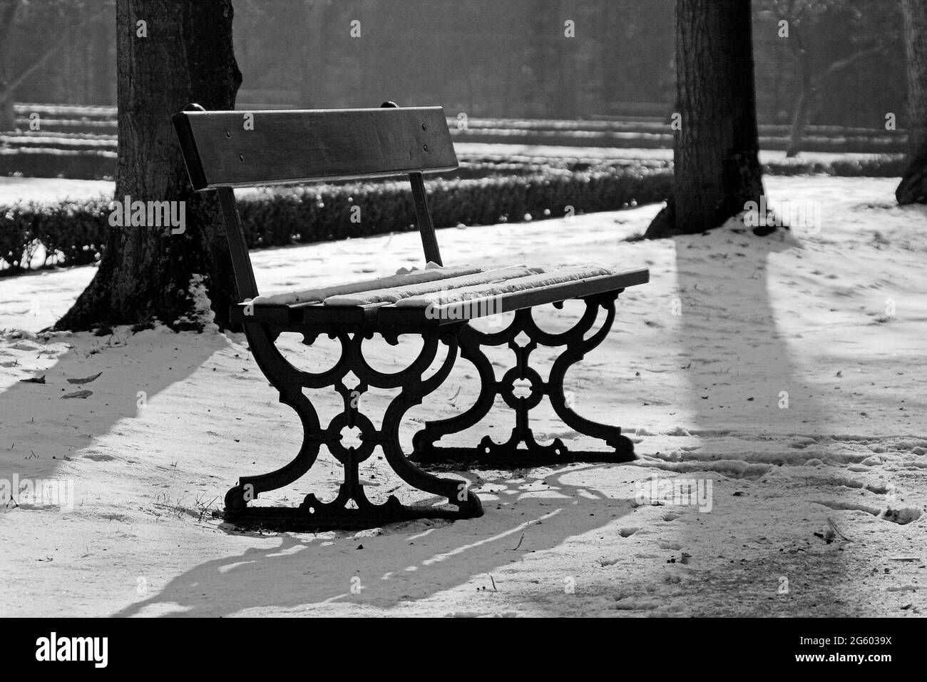 Photographie en noir et blanc d'un banc de parc recouvert de neige dans une zone verte publique Banque D'Images