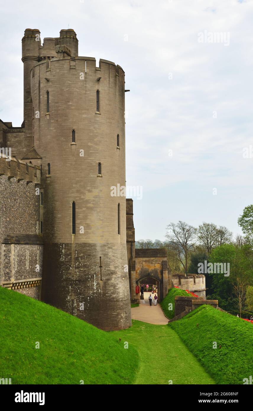 Château d'Arundel, Arundel, West Sussex, pendant le Festival annuel des tulipes Banque D'Images
