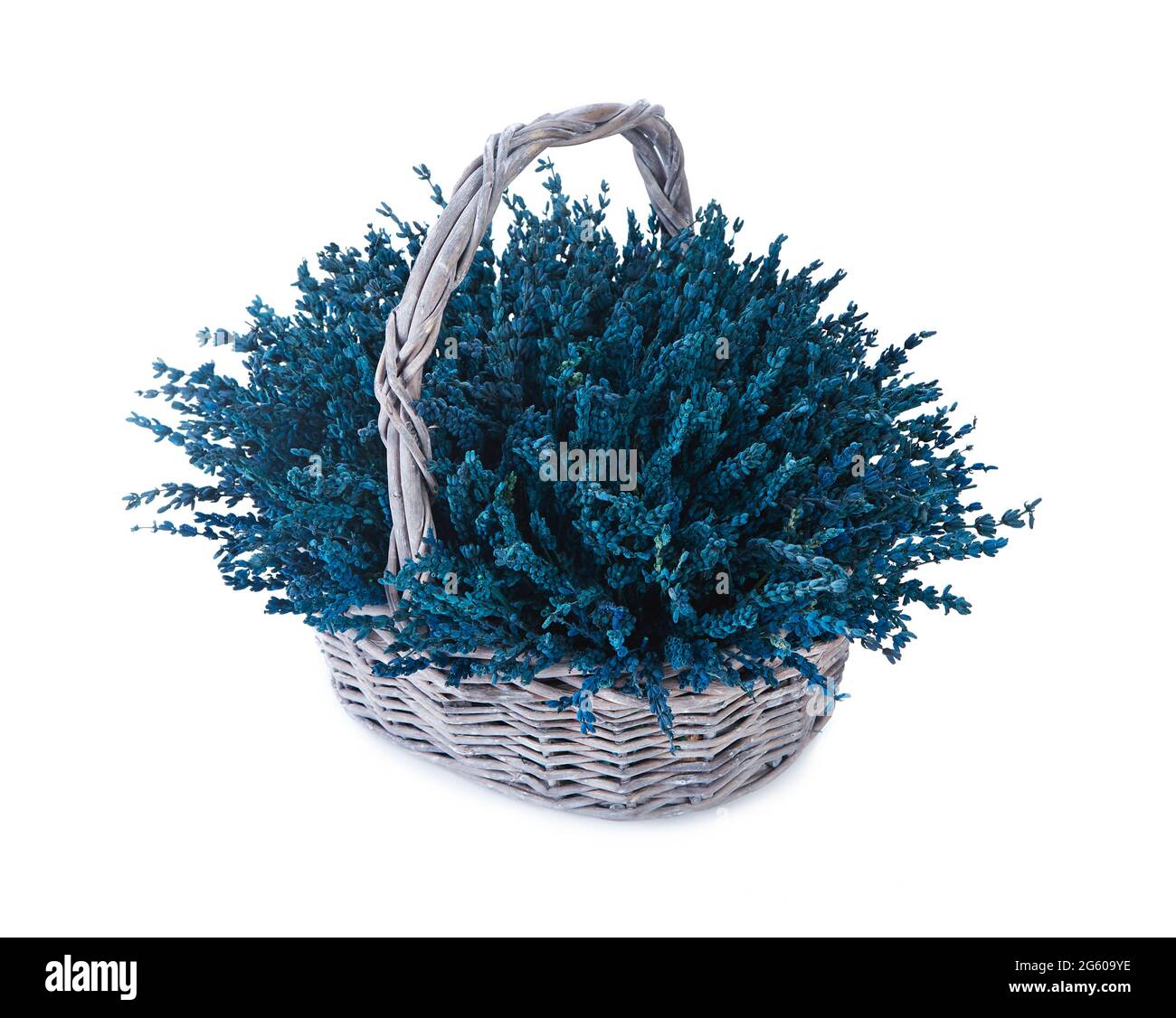 Grande concosition florale de lavande stabilisée isolée sur fond blanc. bouquet de luxe pour la Saint Valentin. Célébration d'engagement ou de mariage Banque D'Images