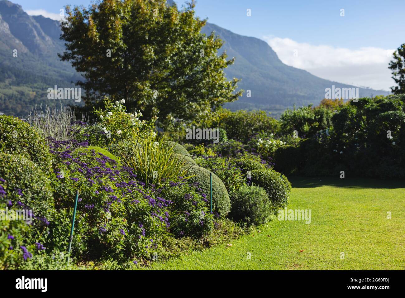 Vue générale sur le jardin avec vue magnifique sur la campagne des montagnes par beau temps Banque D'Images