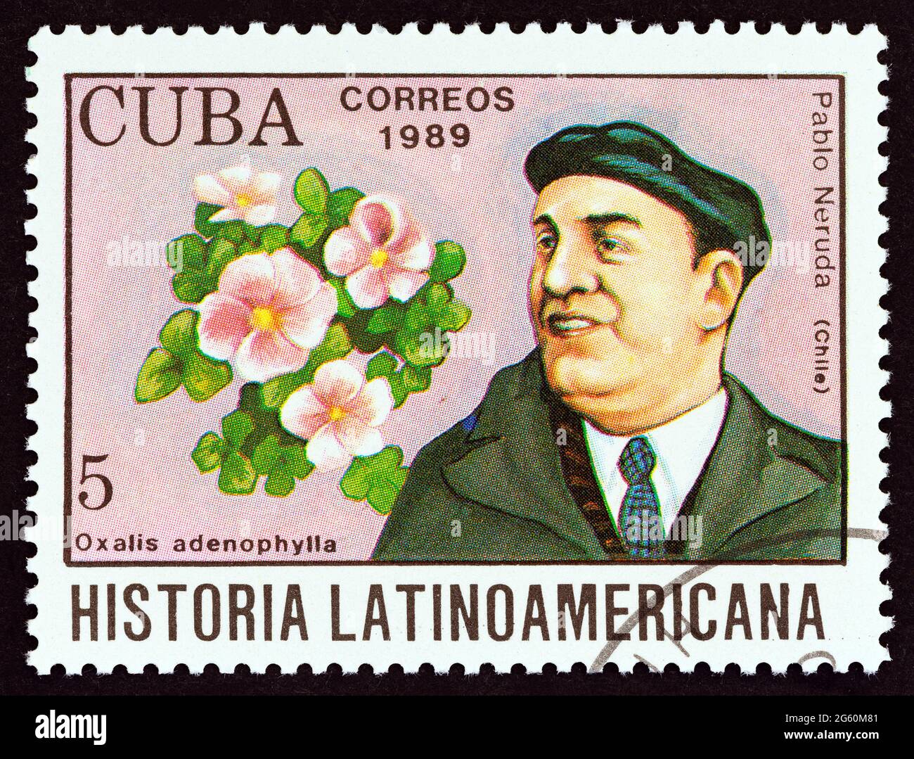 CUBA - VERS 1989: Un timbre imprimé à Cuba du numéro de l'histoire de l'Amérique latine montre Pablo Neruda et Oxalis adénophylla (Chili). Banque D'Images