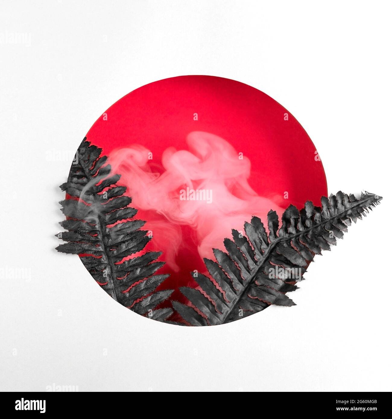 Un trou rond rouge d'où poussent les feuilles de fougères noires avec de la fumée blanche. Concept moderne et créatif de fond floral et abstrait. Banque D'Images