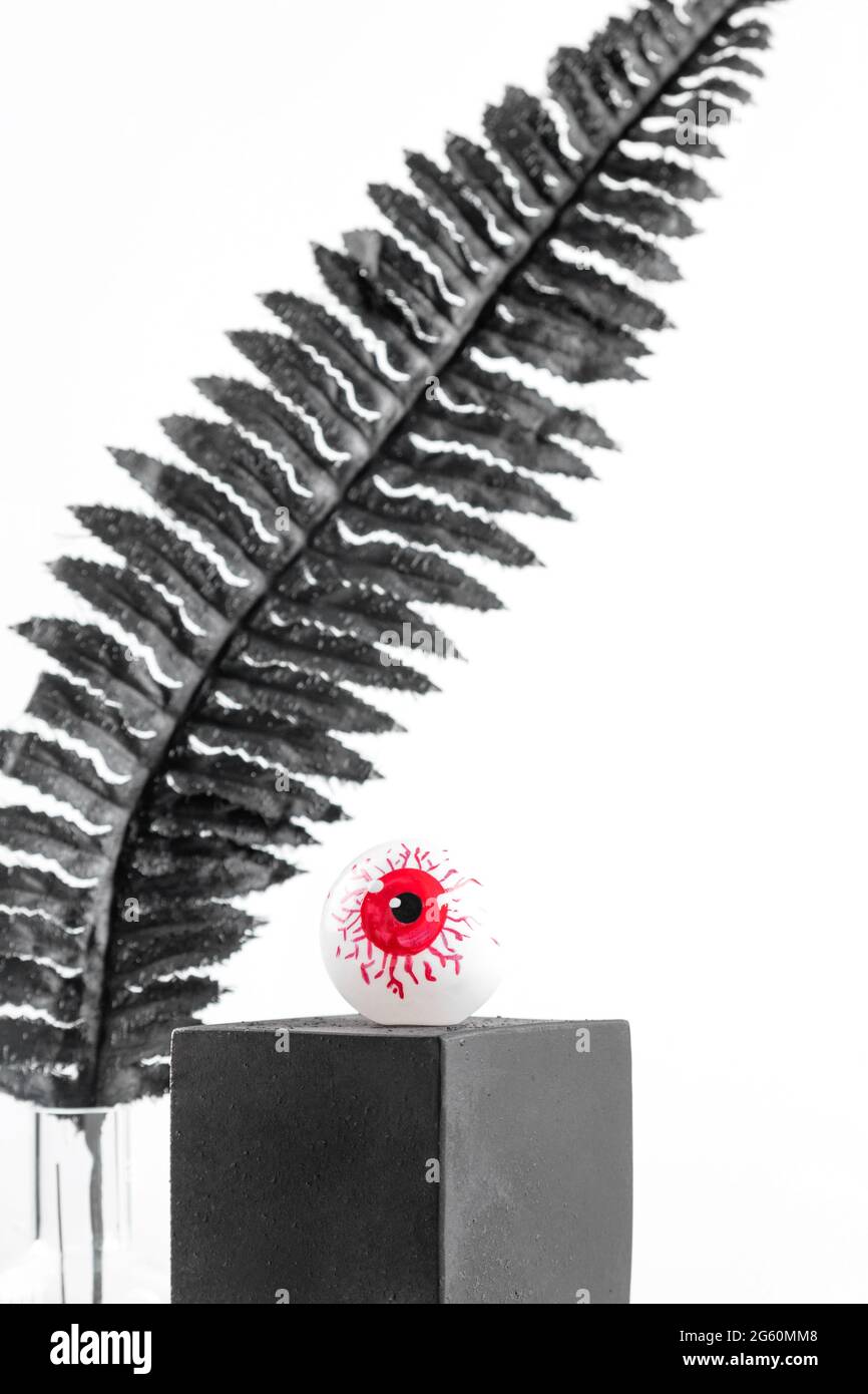 Œil rouge sur un cube noir sur fond blanc. Décor élégant pour Halloween avec feuilles noires. Concept de vacances d'automne. Banque D'Images