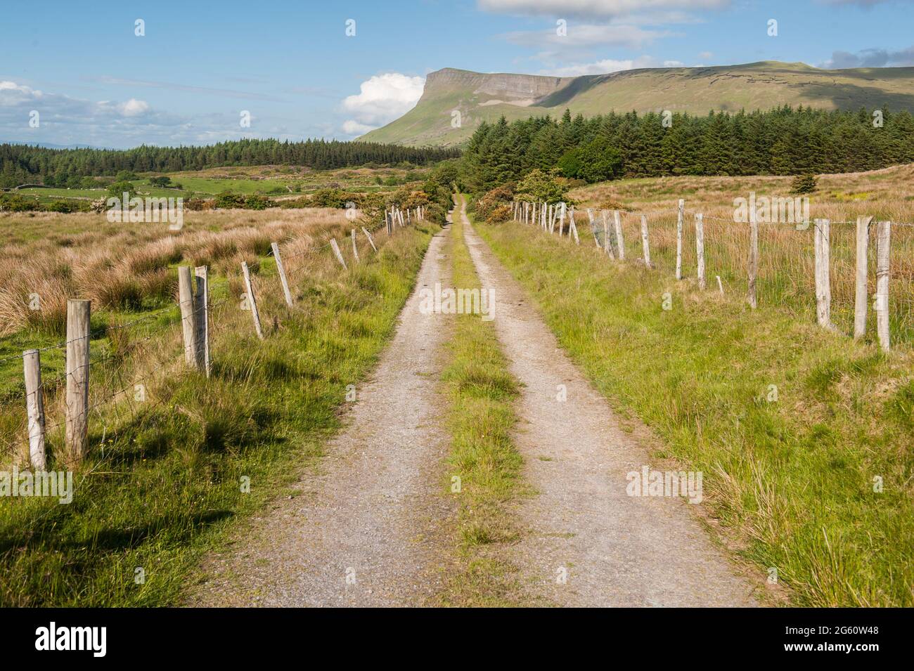 Benbulbin, Comté de Sligo, Irlande Banque D'Images