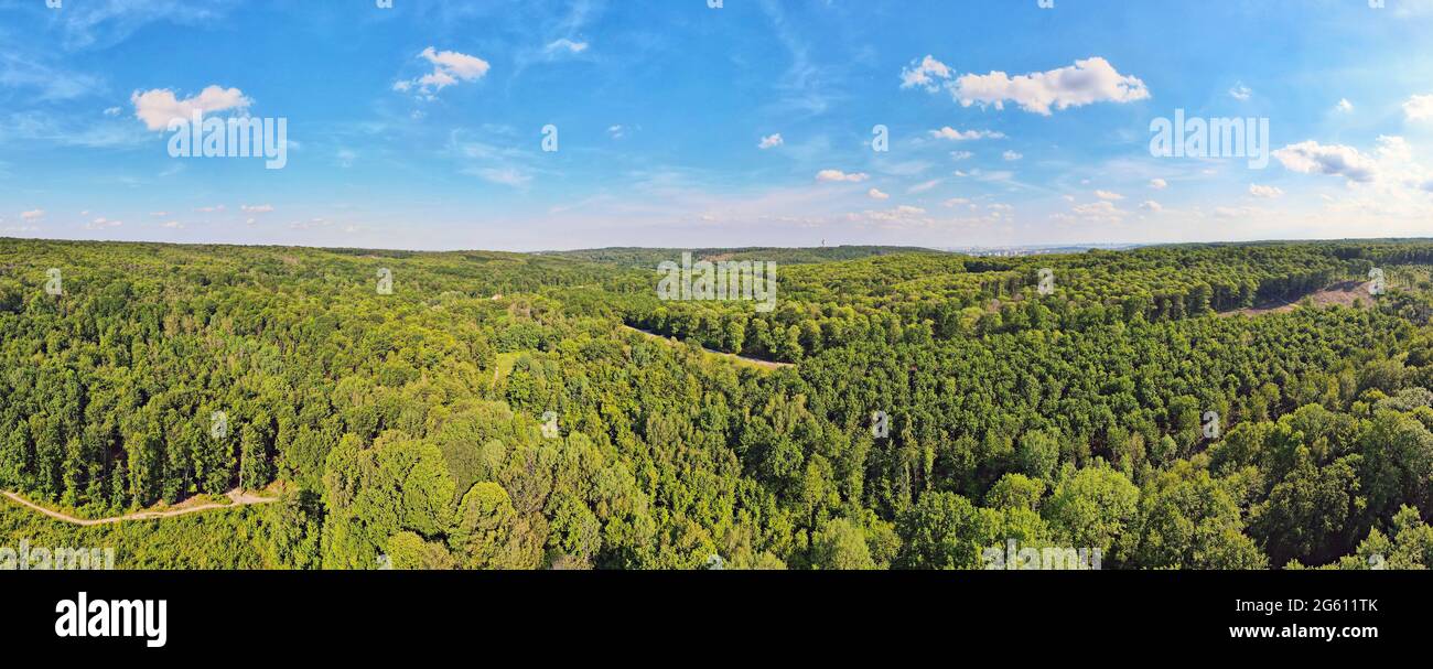 France, Val d'Oise, Forêt de Montmorency (vue aérienne) Banque D'Images