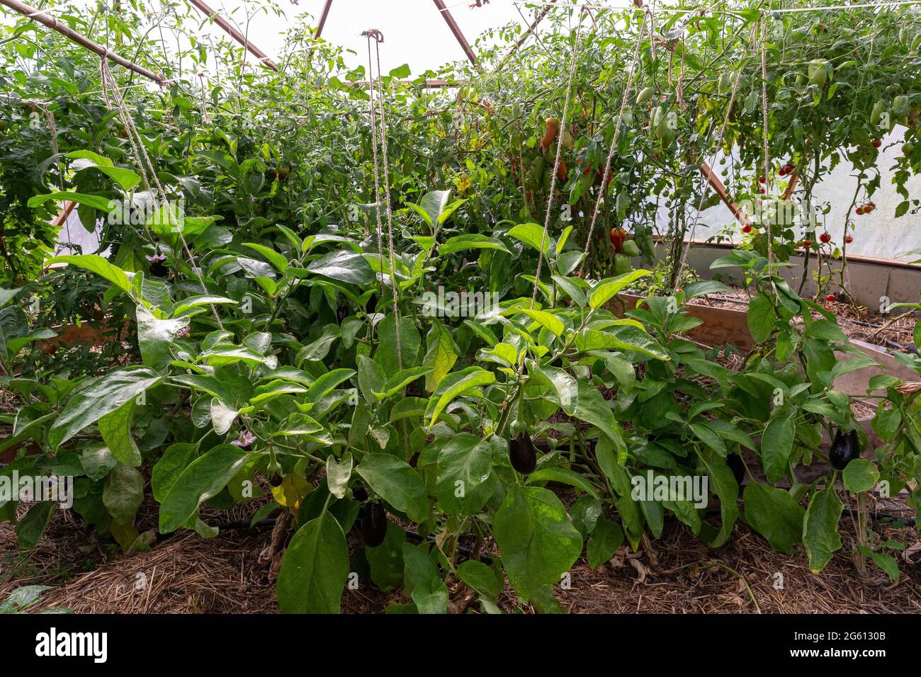 rencontres agriculteurs bio