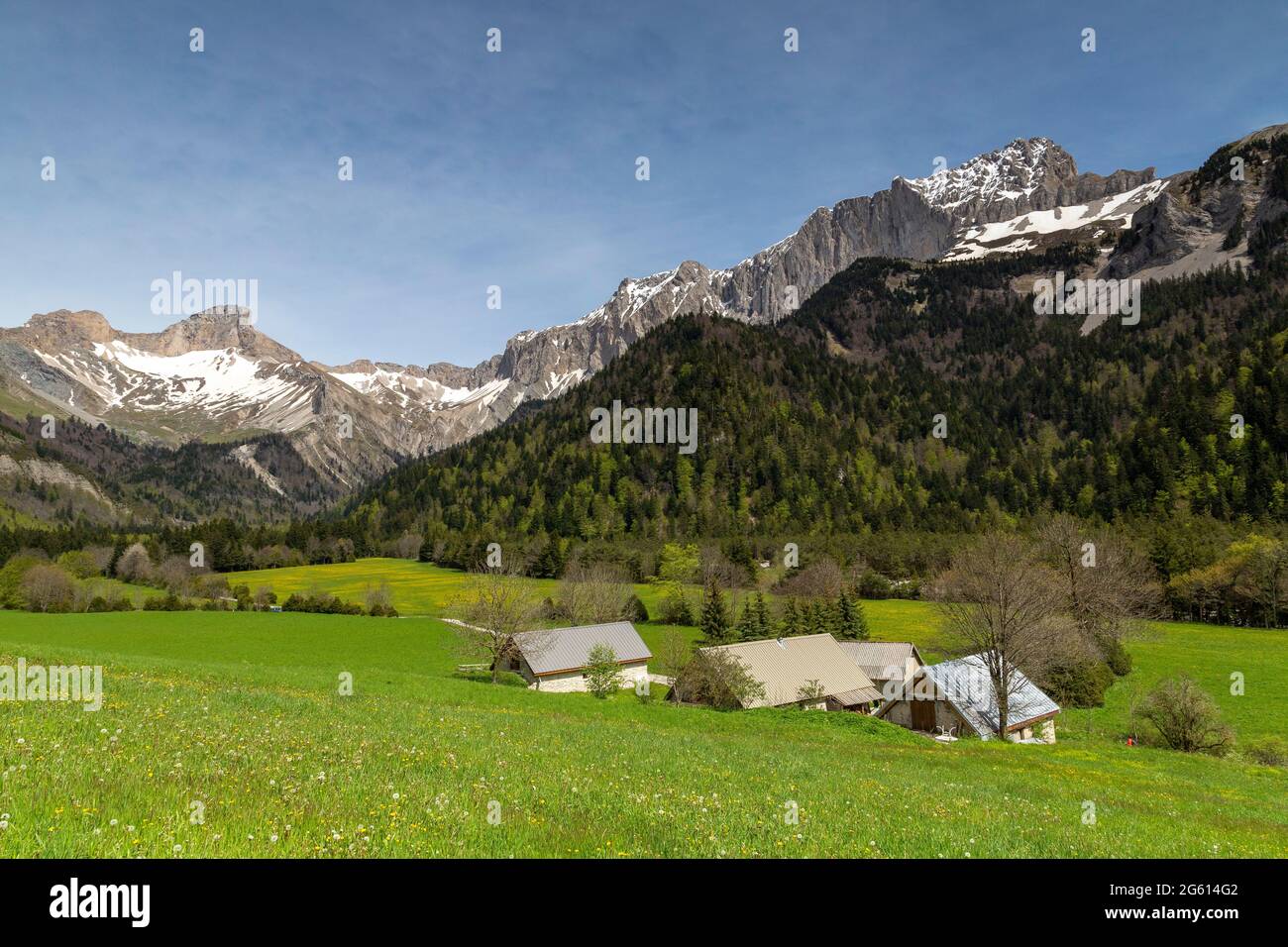France, Drôme (26), Parc naturel régional du Vercors, vallon de la Jarjatte Banque D'Images