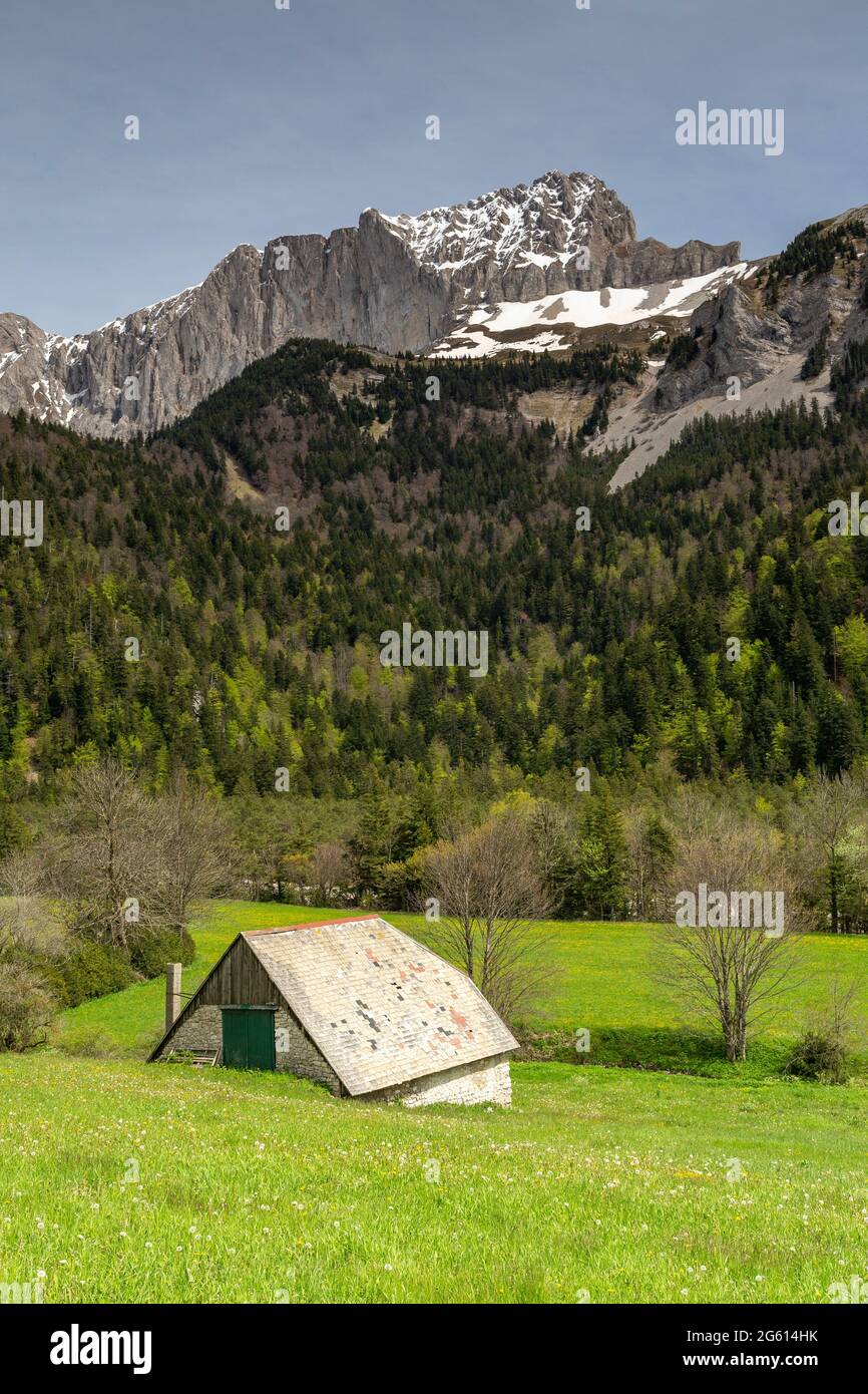 France, Drôme (26), Parc naturel régional du Vercors, vallon de la Jarjatte Banque D'Images