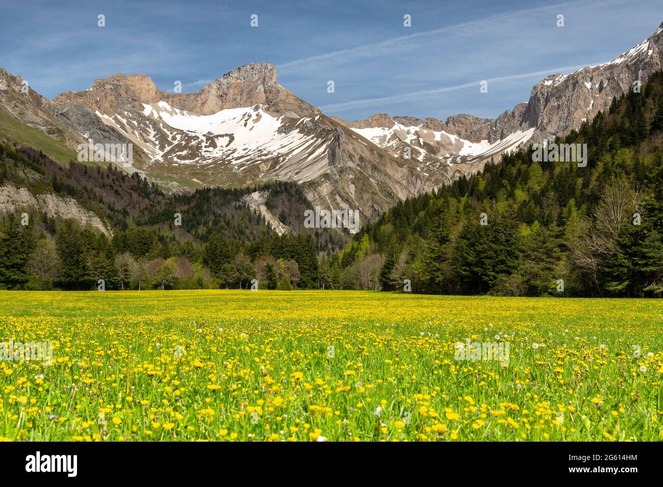 France, Drôme (26), Parc naturel régional du Vercors, vallon de la Jarjatte Banque D'Images