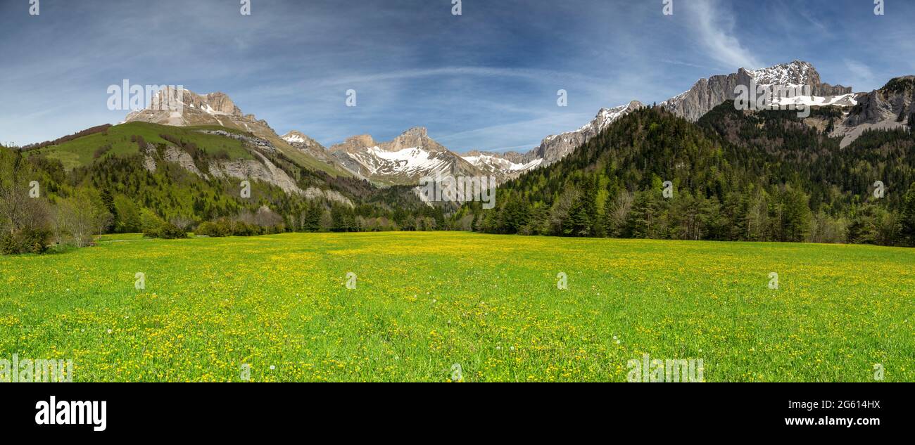 France, Drôme (26), Parc naturel régional du Vercors, vallon de la Jarjatte Banque D'Images