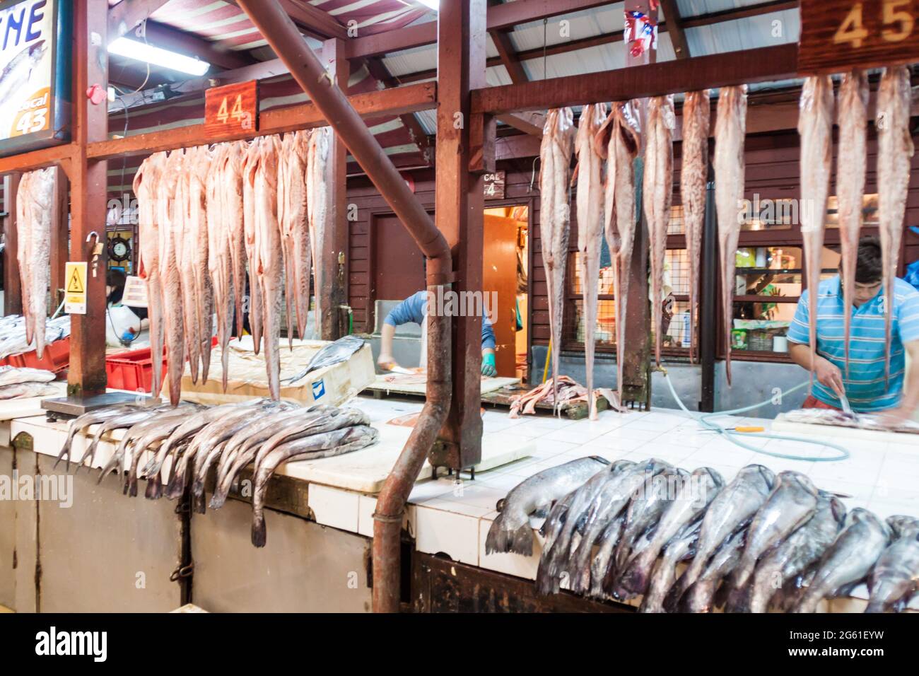 PUERTO MONTT, CHILI - 1er MARS 2015 : étals de poissons au marché de poissons de Puerto Montt, Chili Banque D'Images