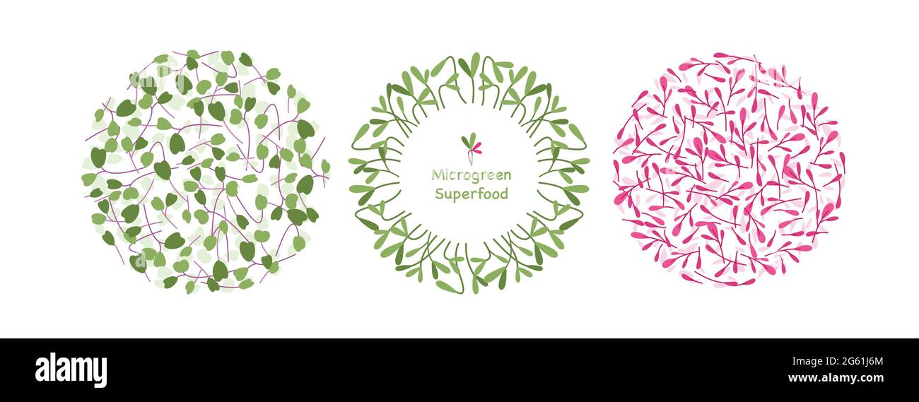 Dessin animé ECO logo décoration éléments collection avec moutarde tournesol arugula orach feuille d'herbe, vert superfood en cercle design graphique isolé sur Illustration de Vecteur