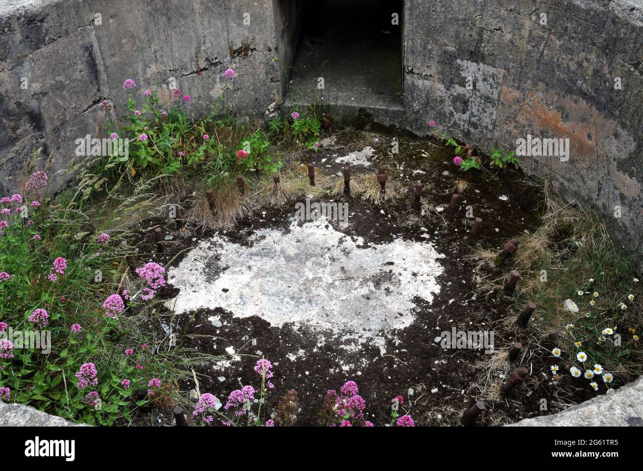 Vestiges d'un placement d'armes de la Seconde Guerre mondiale, installé dans la falaise, sur le site de la batterie d'urgence de Brownstone à Froward point près de Kingsmere, Devon. Banque D'Images