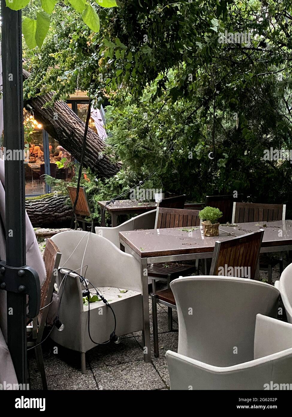 arbre tombé sur les tables d'une terrasse après une grosse tempête Banque D'Images