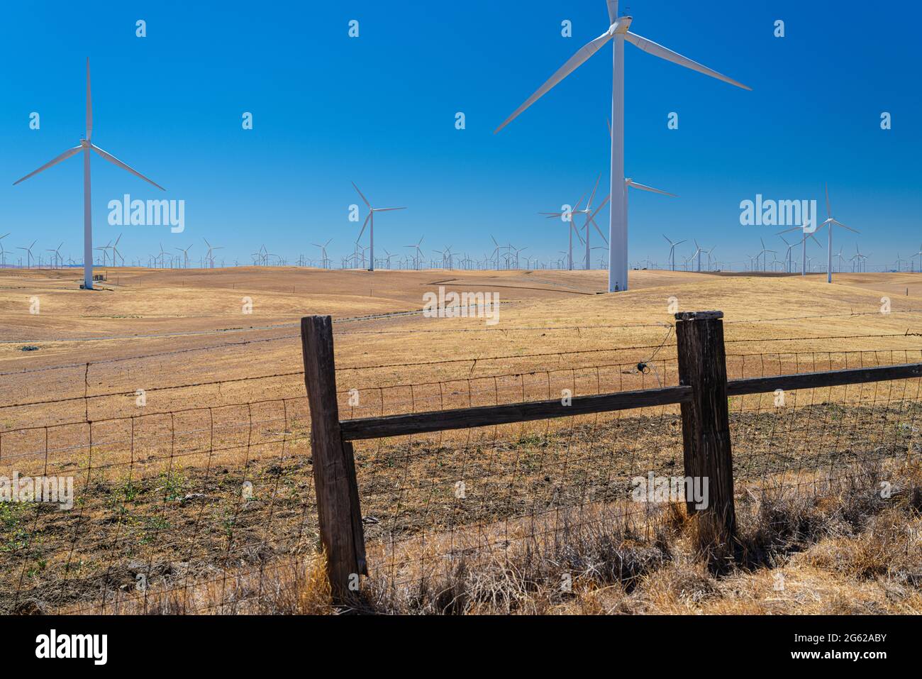 La centrale éolienne de Shiloh est un parc éolien situé dans les collines de Montezuma dans le comté de Solano, en Californie, aux États-Unis, près de Bird's Landing et Collinsville. Banque D'Images