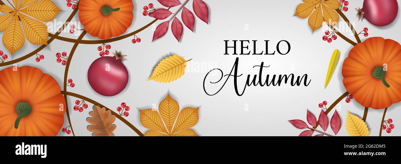 Bannière Hello Autumn avec feuilles, citrouilles, branches et baies Illustration de Vecteur