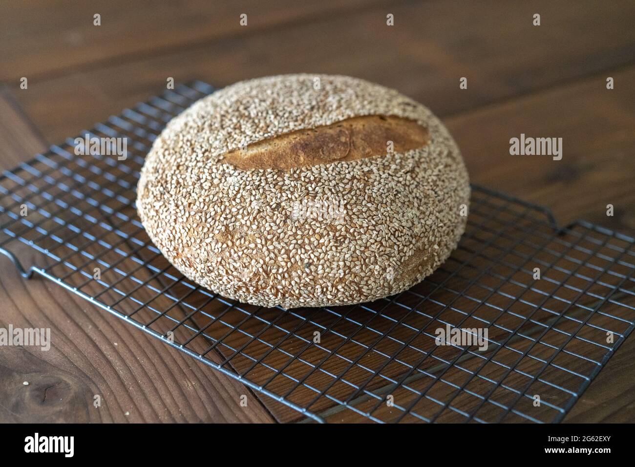 Pain de levain maison avec croûte de sésame artisanal fraîchement cuit sur un fond de table en bois de roche froid Banque D'Images