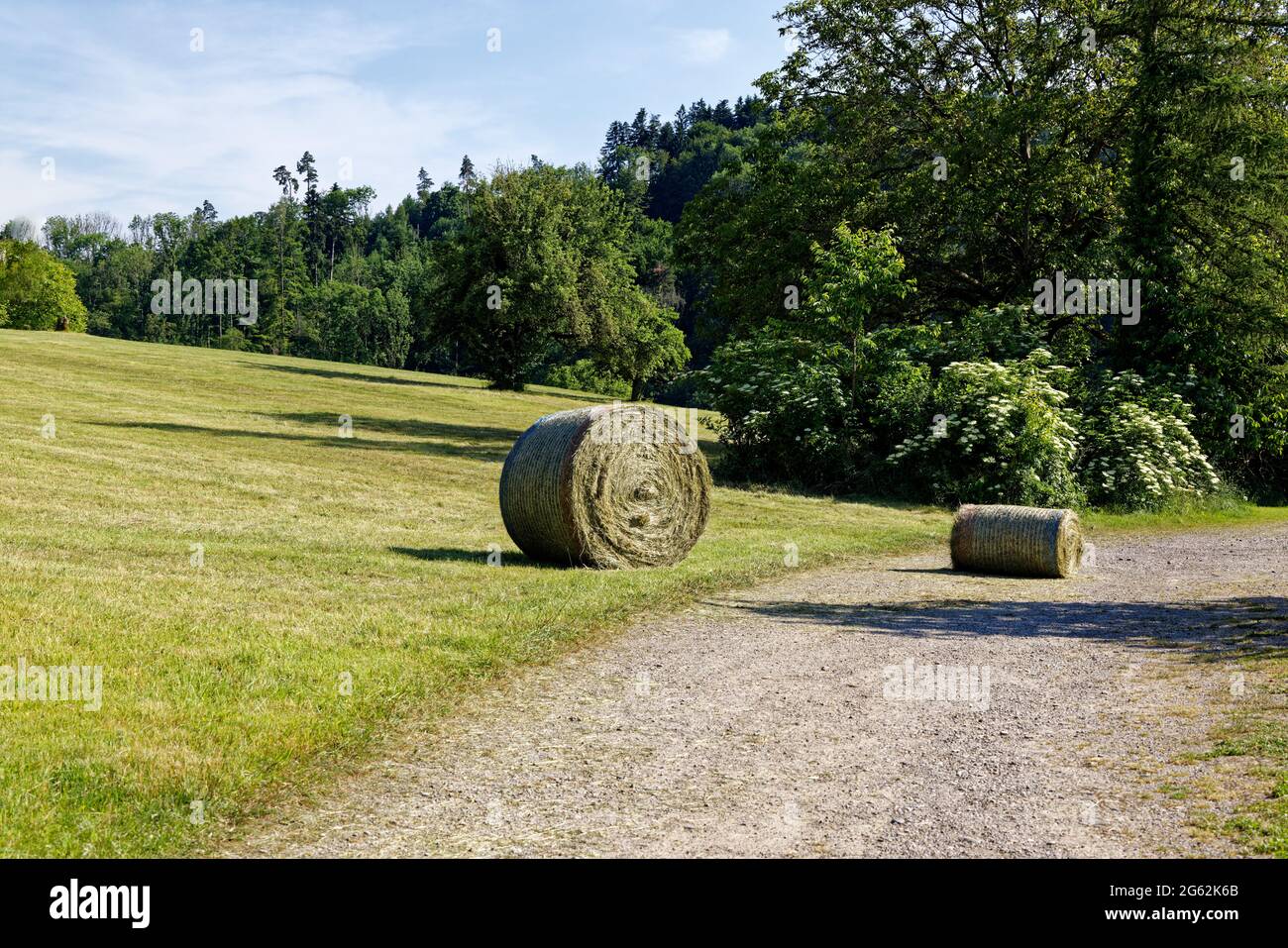 balles rondes de foin fraîchement récoltées sur un chemin de gravier gris devant un pré fauché, en arrière-plan vert forêt d'été avec ciel bleu, Banque D'Images