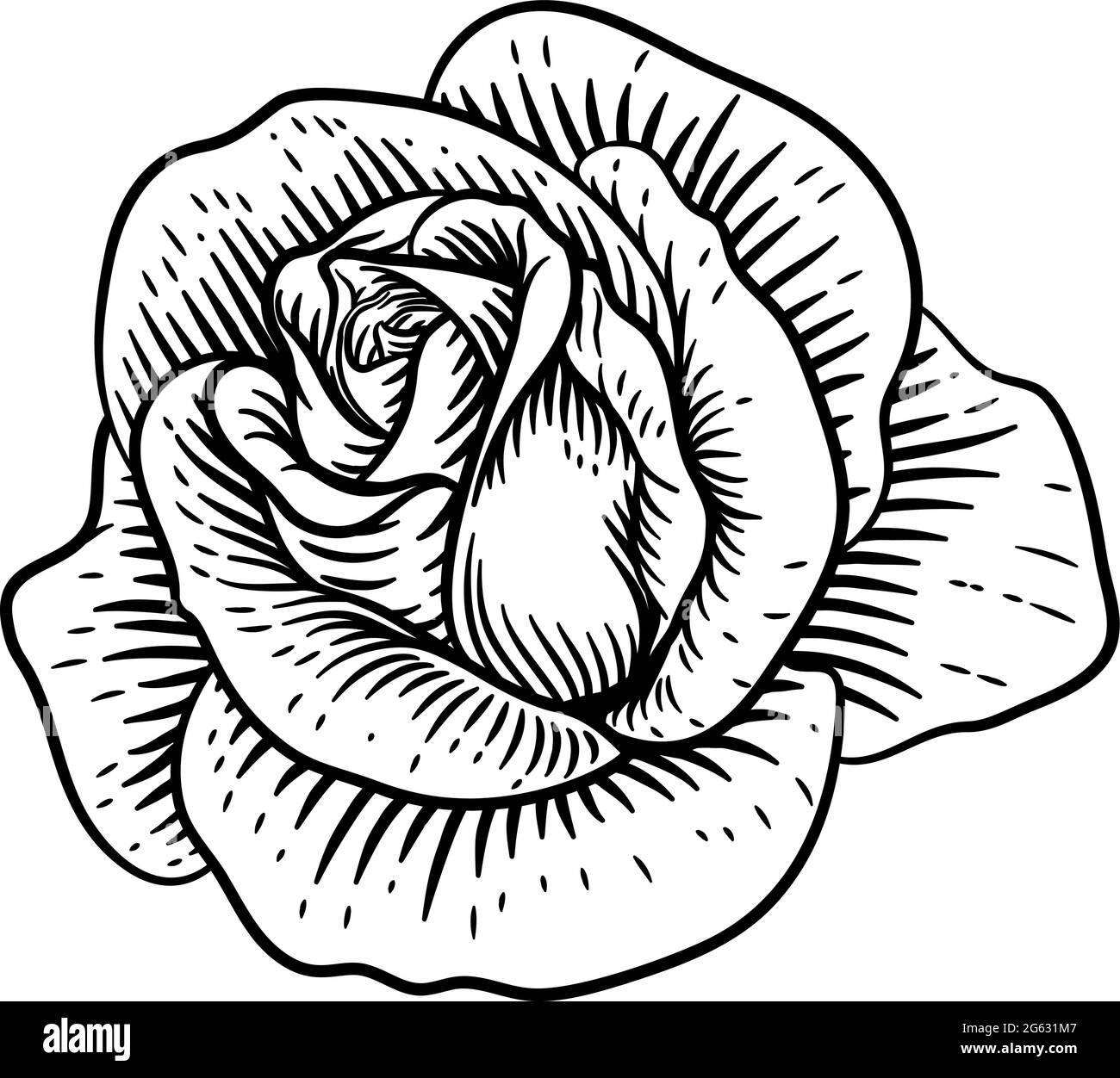 Dessin de bois vintage à fleurs roses Illustration de Vecteur
