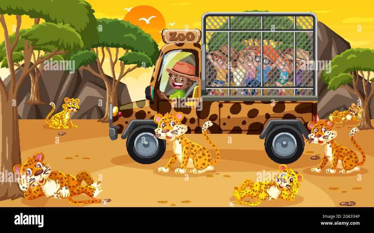 Safari au coucher du soleil avec de nombreux enfants regardant le groupe de léopards illustration Illustration de Vecteur