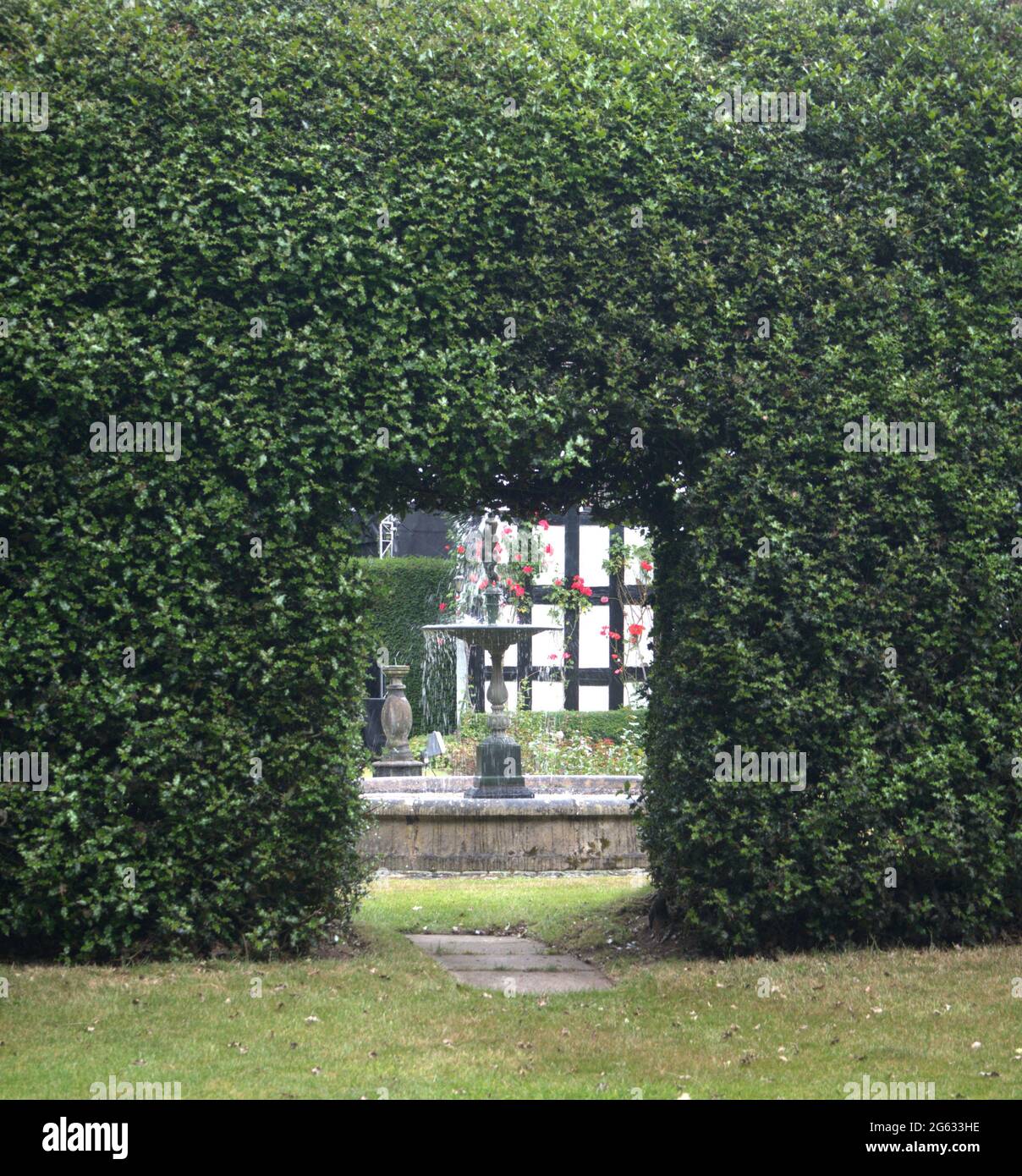 Vue à travers la haie à la fontaine dans les jardins officiels de Gawsworth Hall Banque D'Images