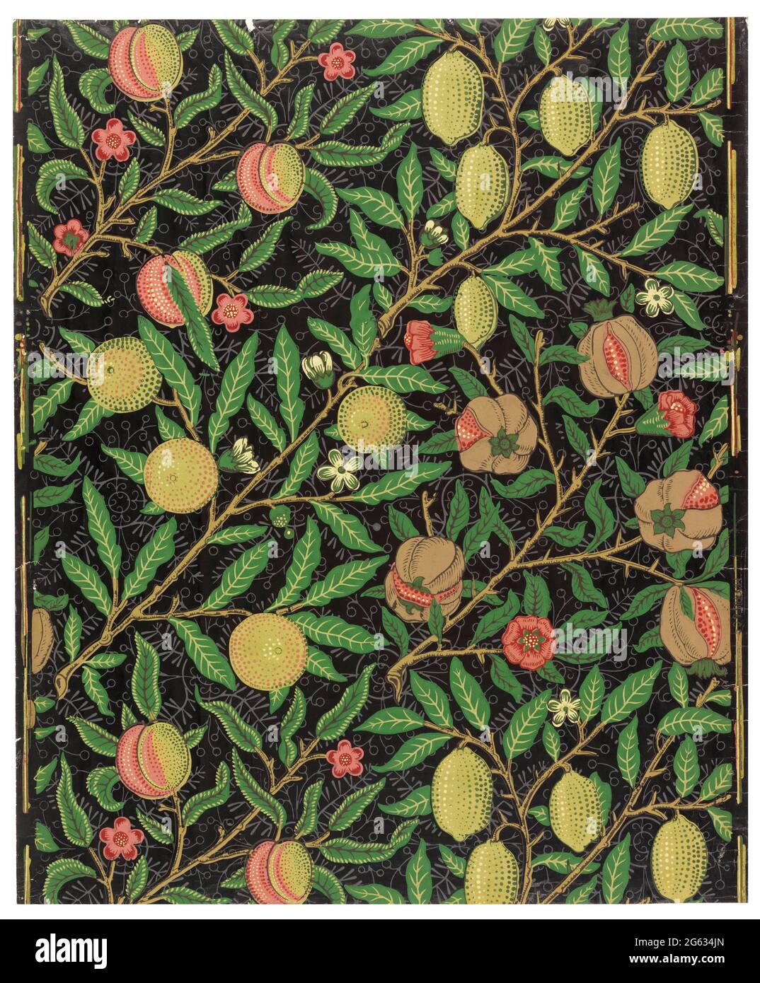 William Morris, fruit, papier peint, 1862 Banque D'Images